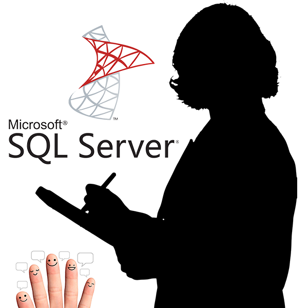 SQL Assignment Help SI